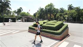 指考／專家估馬偕醫學將超越陽明牙醫，台大
圖／樂學網提供