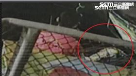 高雄,噴槍,女童,法院