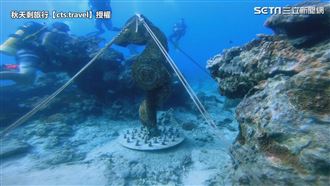 綠島潛水能見度超高　熱帶魚海龜共游