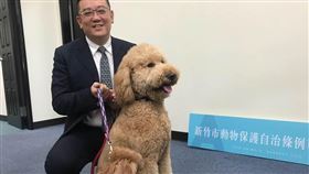 竹市動保法增列條文　蓄意謀害動物最高罰1.5萬新竹市議會24日拍板定案，於新竹市動物保護自治條例增列條文，將對違規者最高處新台幣1萬5000元罰鍰。圖為新竹市議長許修睿。（新竹市議會提供）中央社記者魯鋼駿傳真　109年7月24日
