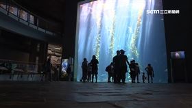 夢幻打卡勝地！屏海生館推海洋萌友會搶人潮