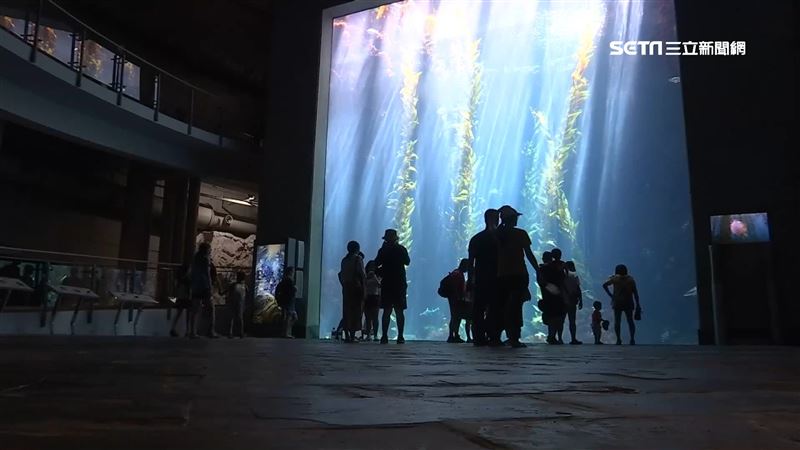 IG紅什麼／屏海生館推海洋萌友會