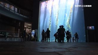 IG紅什麼／屏海生館推海洋萌友會