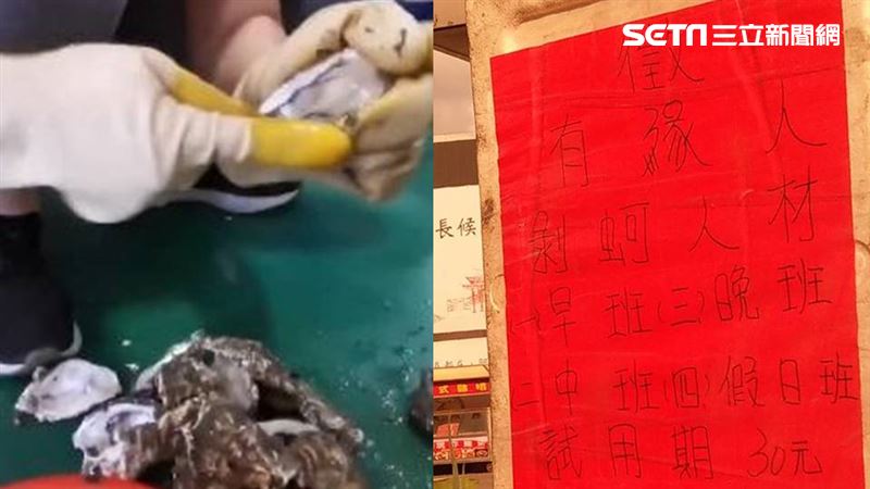 剝蚵試用期30元　網讚高薪！真相曝