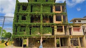 台南ig爆紅綠巨人浩克的家(ig使用者提供)
