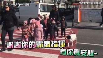 美國浪犬護孩指揮交通　整隊超霸氣