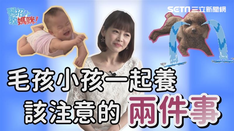 有寶寶就不能養寵物？其實你能這樣做