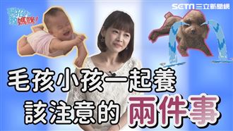 有寶寶就不能養寵物？其實你能這樣做