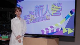 柯佳嬿。TVBS提供