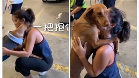 武漢肺炎,美國,狗,主人,隔離,重逢（圖／翻攝自微博）