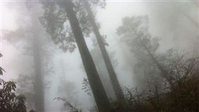 ▲瓦屋山迷魂氹（圖／翻攝自百度百科） 
