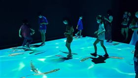 ▲（圖／內政部移民署提供）