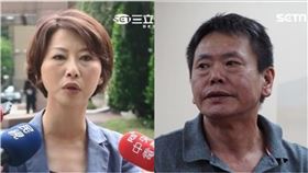 陳亭妃、林為洲（組合圖／翻攝自臉書、記者陳政宇攝）