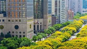 舊商辦都更熱潮 敦南敦北將成為頂級商辦聚焦之地（圖／資料照）