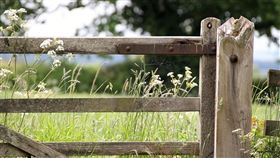 土地,農園。(圖/Pixabay)