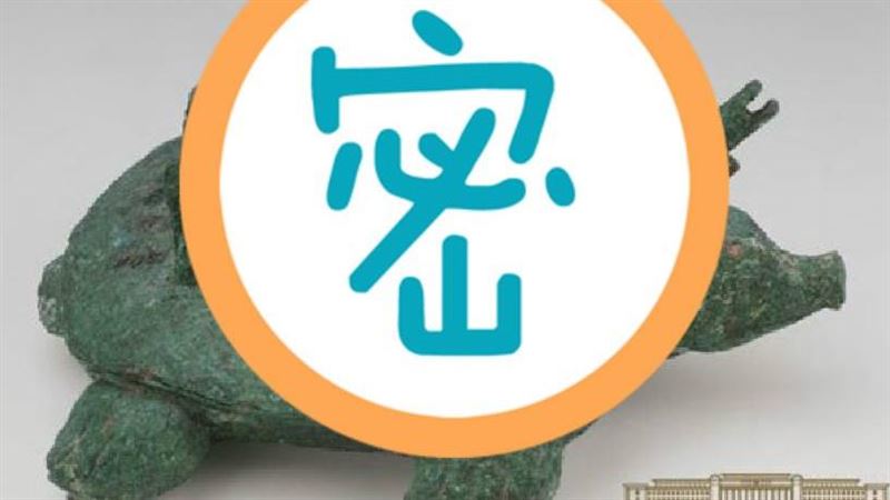 老翁釣到「怪烏龜」　專家：值75億