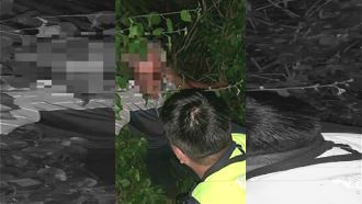 遇魔神仔？老翁離奇失蹤、藤蔓捆全身