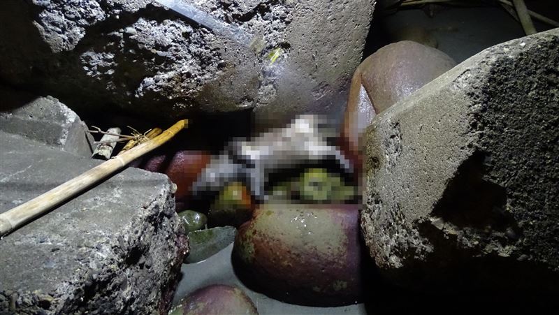 台南橋下赫見豬屍　焚毀後急消毒