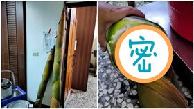 她收巨無霸竹筍…「跟門一樣高」嚇壞！剖面曝光網驚呆（圖／翻攝自廚藝公社）
