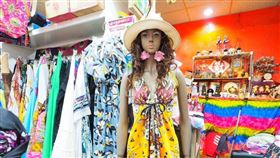 　名家專用／台灣旅行趣（勿用）