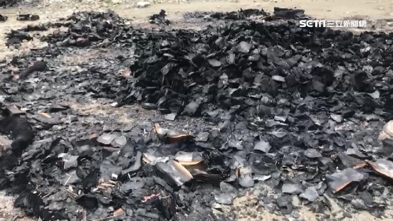 遭爆放生牛蛙　廟方：從無放生行為