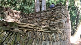 八通關古道多美麗駐在所修復人字砌駁坎八通關越道路沿線有56座日治時期駐在所遺構，其中的多美麗駐在所，因附近板岩產量豐富，所以下層平台鄰近越道路的駁坎皆以板岩採人字砌構築。（花蓮縣文化局提供）中央社記者李先鳳傳真　109年7月28日