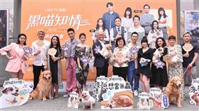 黑喵知道,王家梁,簡嫚書,施名帥,高慧君,連俞涵,程予希　圖／LINE TV提供