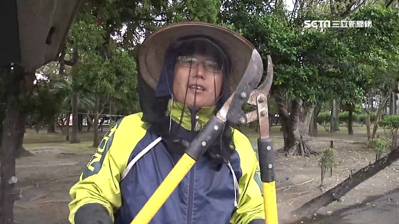 虎頭蜂出沒螫人　老手入夏摘逾50個