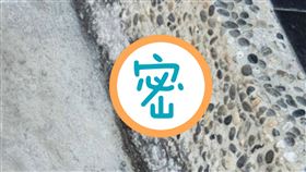 白子蟑螂,20萬,錯過,蟑螂,白化症