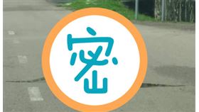 2隻蜥蜴在馬路上緊緊相擁。（圖／翻攝自中國報）