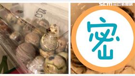 小鵪鶉(圖/民眾提供)