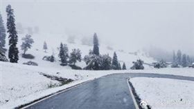 ▲新疆竟出現六月雪，導致近500頭羊死亡。（圖／翻攝新疆那拉提旅遊風景區微博）