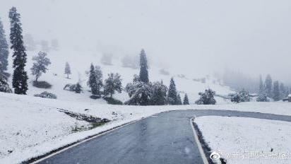 北京驚現「七月雪」　陸網：必有冤情