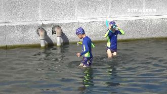 台唯一湧泉游泳池　長青苔民眾卻步