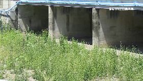 野溪變水道1300