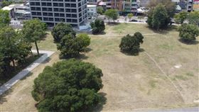 推動青銀共創 北區催生『阿嬤妳看』市集（圖／台南市政府）