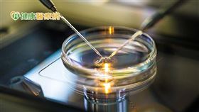 胚胎師一日工作包括協助找卵、胚胎培養、協助胚胎植入、冷凍解凍胚胎及胚胎切片等，為試管嬰兒療程中，不可或缺的角色。