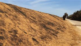 海岸退縮國土嚴重流失　桃市府：以自然工法養灘桃園市新屋區永安漁港北岸海岸線退縮嚴重，而觀音區觀塘海岸則有淤沙問題，海岸管理工程處29日表示，未來將透過海岸監測等方式，擬定海岸防護計畫，同時採取離岸式潛堤或地工砂腸袋等自然工法，阻斷海浪對海岸淘空的動能，藉此把沙留在海岸上進行人工養灘。中央社記者吳睿騏桃園攝　109年7月29日