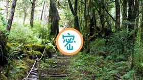 12年前員工旅遊照　驚見無頭人嚇壞（圖／翻攝自靈異公社臉書）