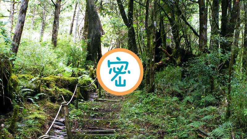 12年前員工旅遊照　驚見無頭人嚇壞