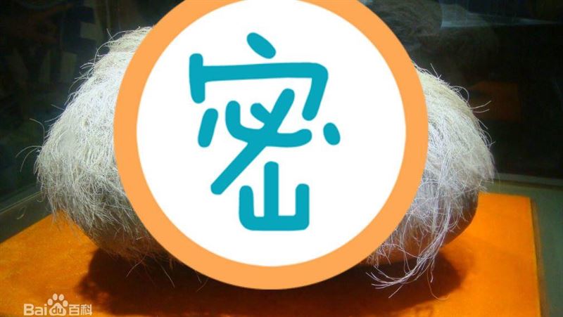 怪石長白髮！老農越看越毛喊「邪物」