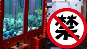 娃娃機台內滿滿的玩具蟑螂，讓人看得頭皮發麻。（圖／網友授權提供）