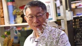 突給驚喜？柯文哲耍浪漫送癡情玫瑰花，愛妻陳佩琪反應曝光（圖／翻攝柯文哲IG）