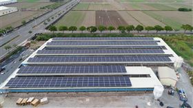 農電共生案例(圖/作者提供)