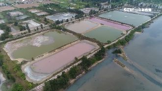 繽紛魚塭吸睛　遊客衝場連人帶車摔溝