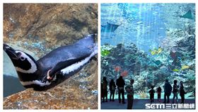 桃園Xpark。（圖／記者馮珮汶攝）