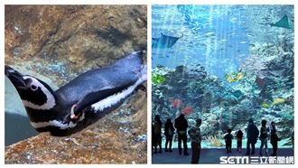 搶先開箱／桃園Xpark 五大亮點