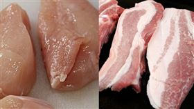 豬肉、雞胸肉、豬、雞肉／翻攝自pixabay