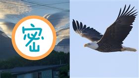 抬頭驚見「雄鷹展翅」！超狂天象網全看呆…驚呼：超幸運（合成圖／民眾卓杰（小美）授權提供、翻攝自Pixabay）