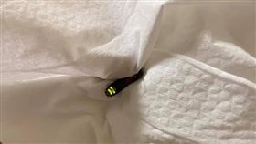 螢火蟲。（圖／翻攝自爆怨公社）